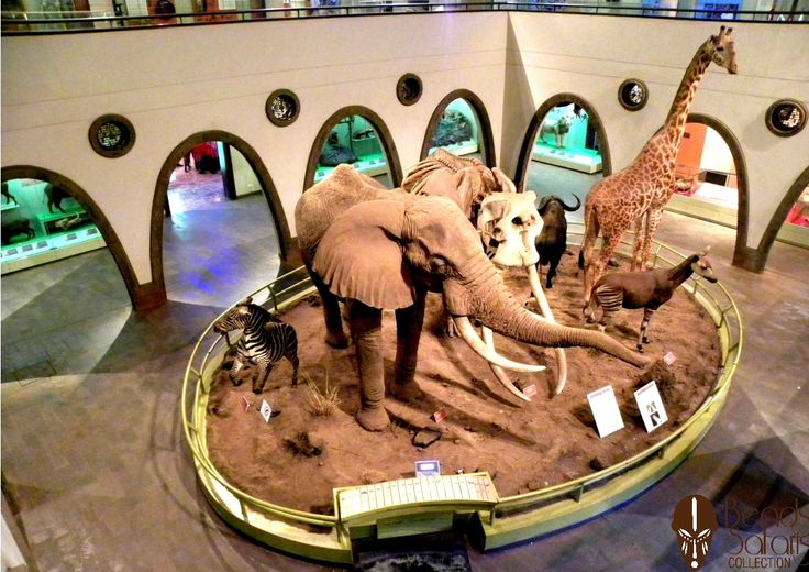 Kenya National Museum